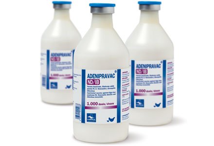 ADENIPRAVAC® ND/1B