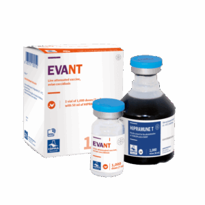 EVANT®