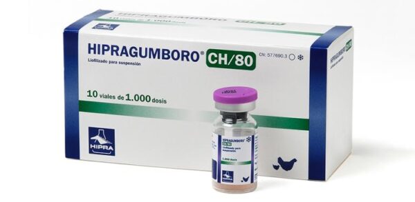 HIPRAGUMBORO-CH/80®