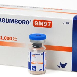 HIPRAGUMBORO-GM97®