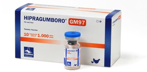 HIPRAGUMBORO-GM97®